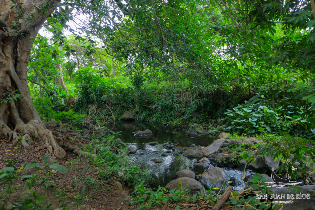 terrenos baratos en San Salvador